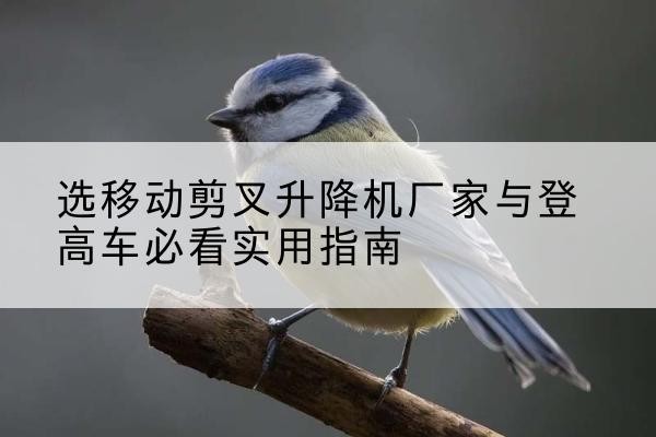 天河电动升降机厂家-选移动剪叉升降机厂家与登高车必看实用指南