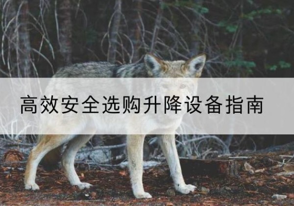 天河升降货梯厂家推荐-*安全选购升降设备指南