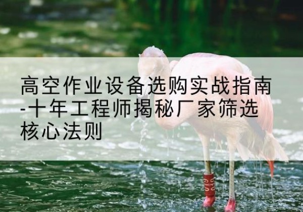 天河剪叉式升降机厂家-高空作业设备选购实战指南-十年工程师揭秘厂家筛选核心法则